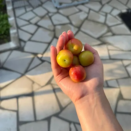 Floor 2 Appartamento *